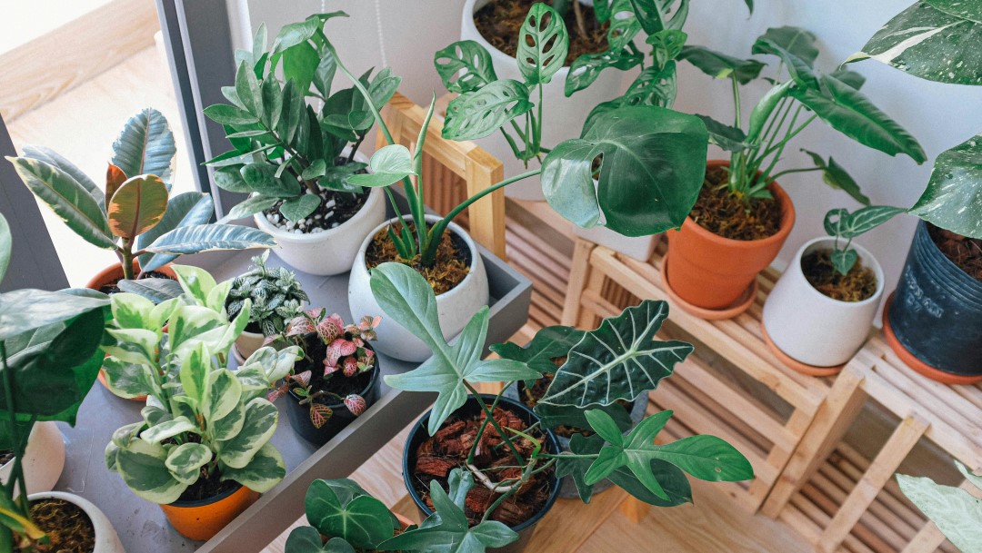 6 Ways Modular Inverters Revolutionize Indoor Horticulture